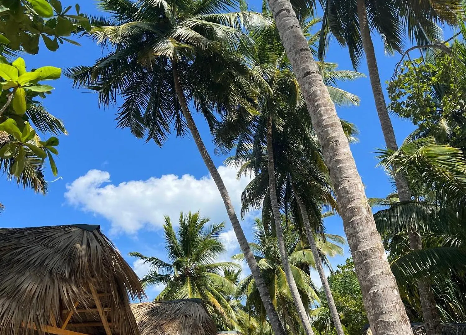 Inn Playa Paraiso En Magante La Yagua