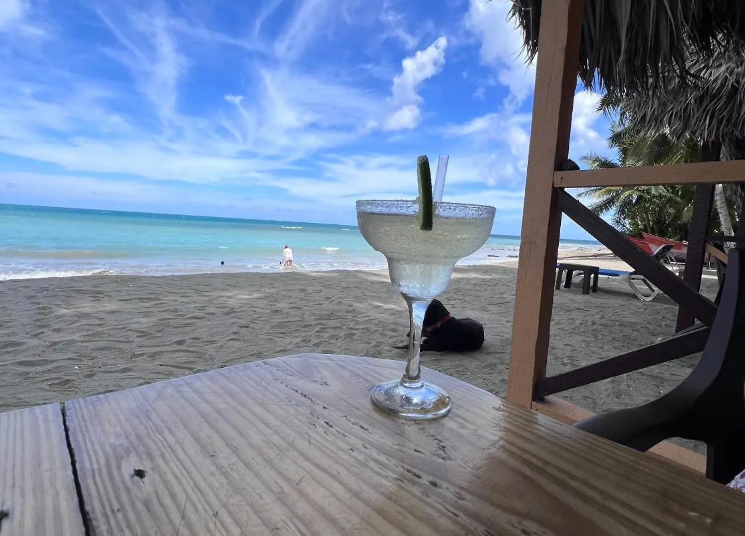 Playa Paraiso En Magante La Yagua Inn