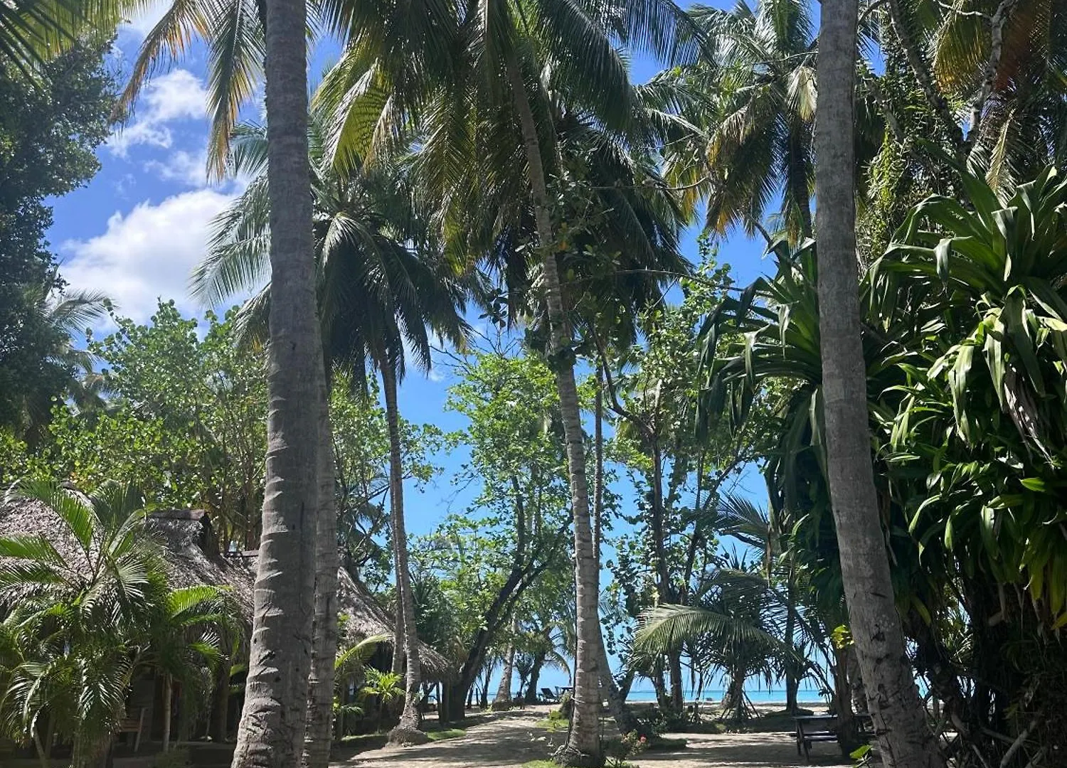 Playa Paraiso En Magante La Yagua